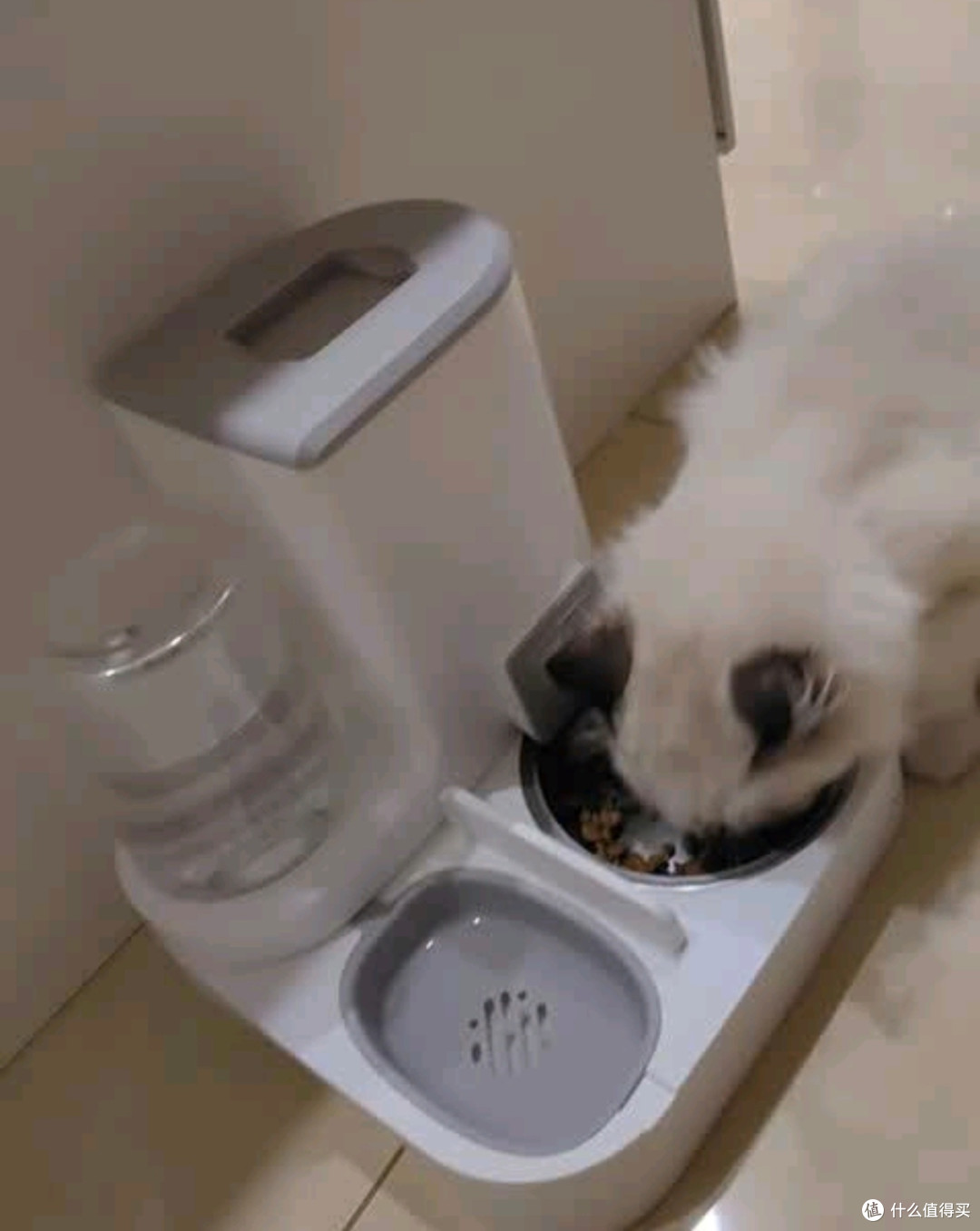 自动喂食器饮水机一体猫碗