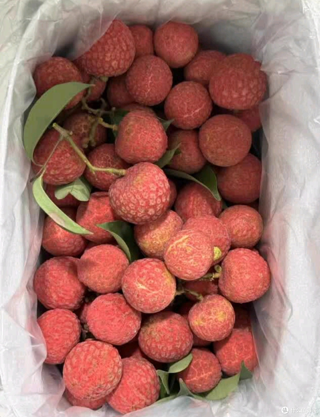 开箱福建黑叶荔枝!一口咬到夏天的甜蜜暴击