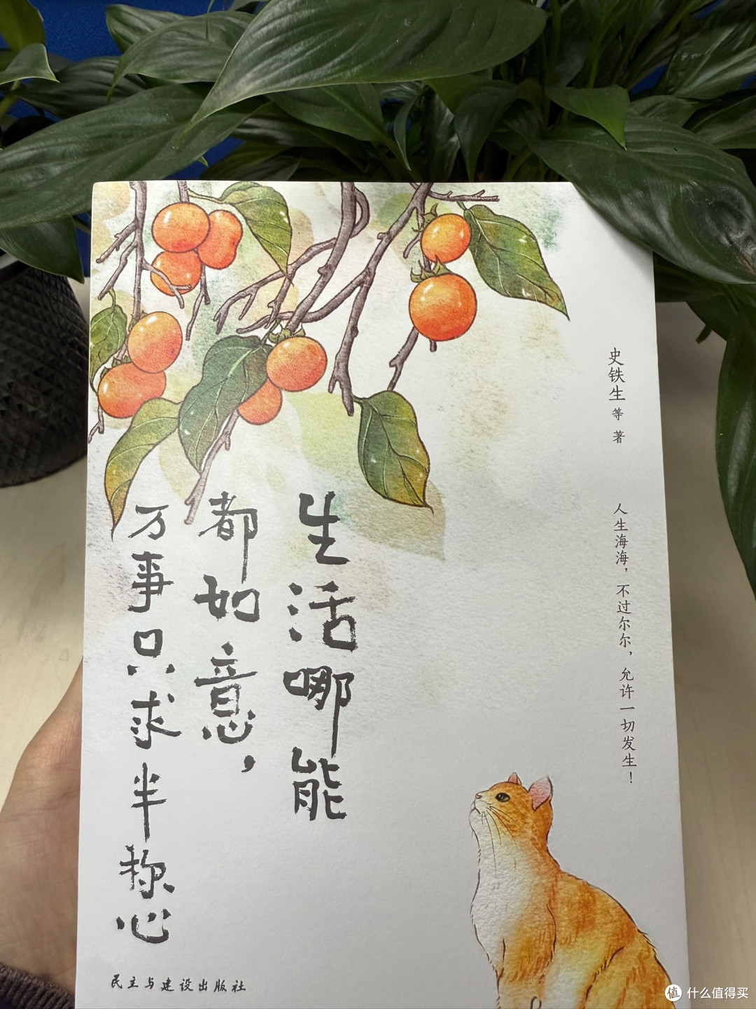 这本书治好了我的精神内耗!