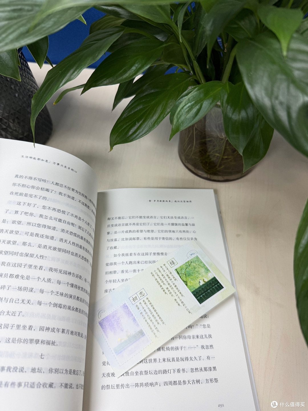 这本书治好了我的精神内耗！