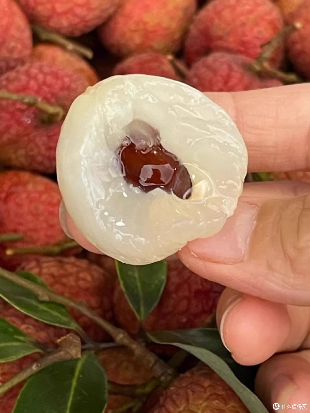 荔枝自由实现!广东高州白糖罂太惊艳