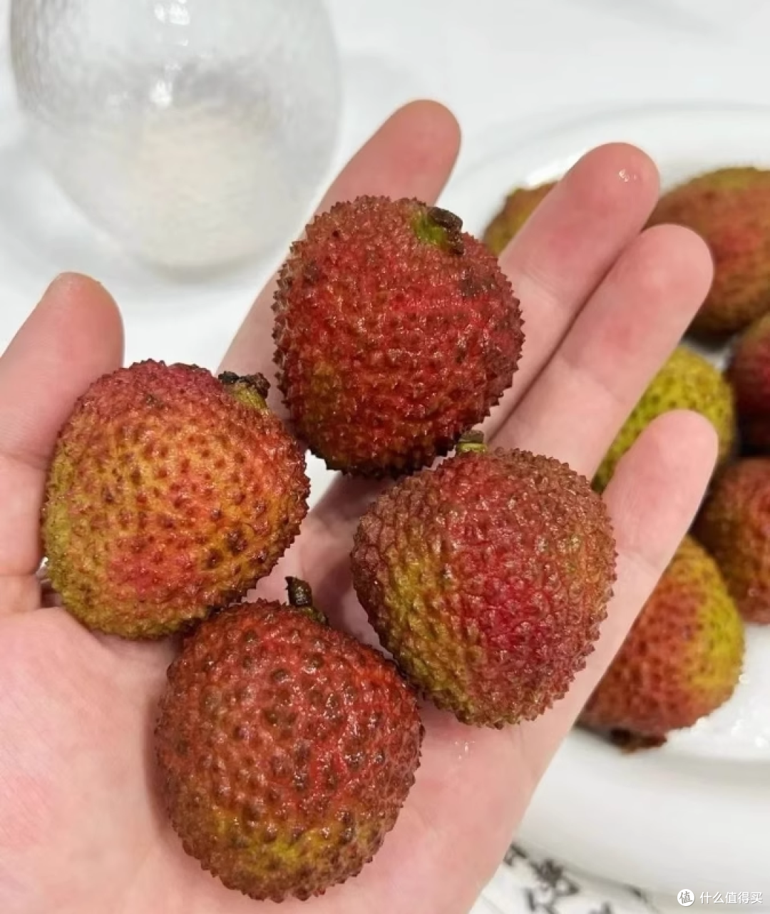 荔枝自由实现!广东高州白糖罂太惊艳