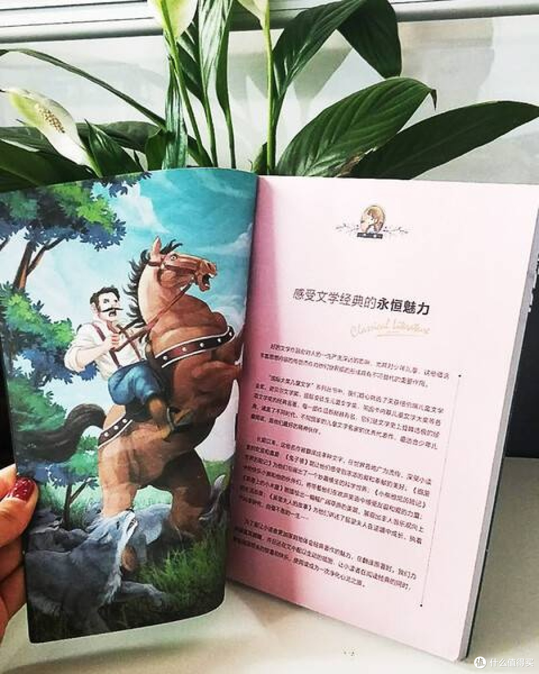 《草原上的小木屋》:暑假里的经典之旅,探索成长的力量