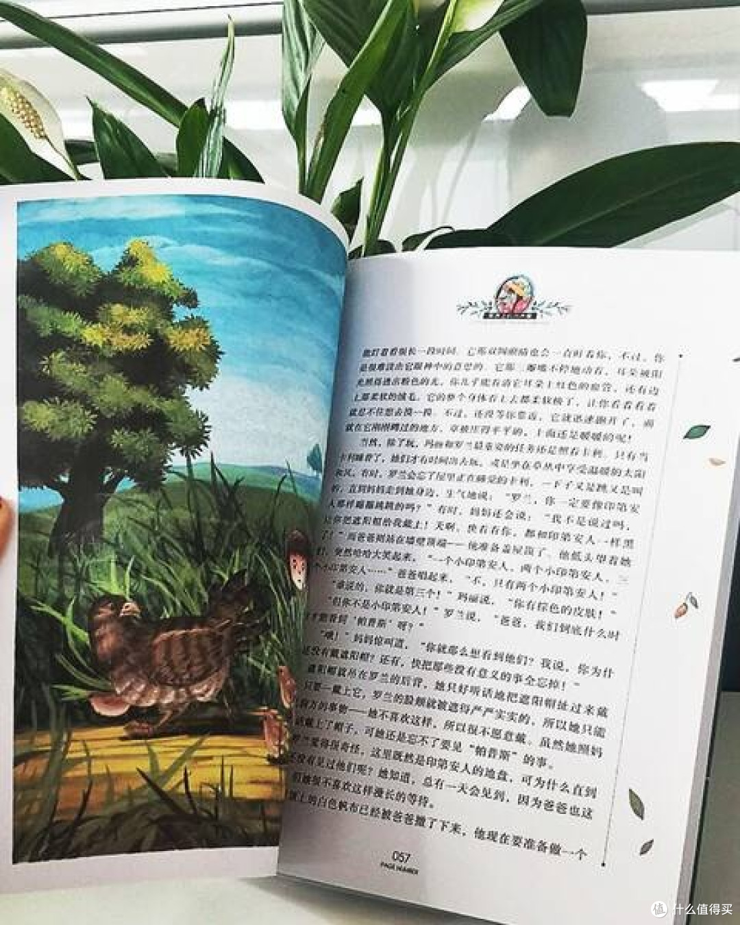 《草原上的小木屋》:暑假里的经典之旅,探索成长的力量