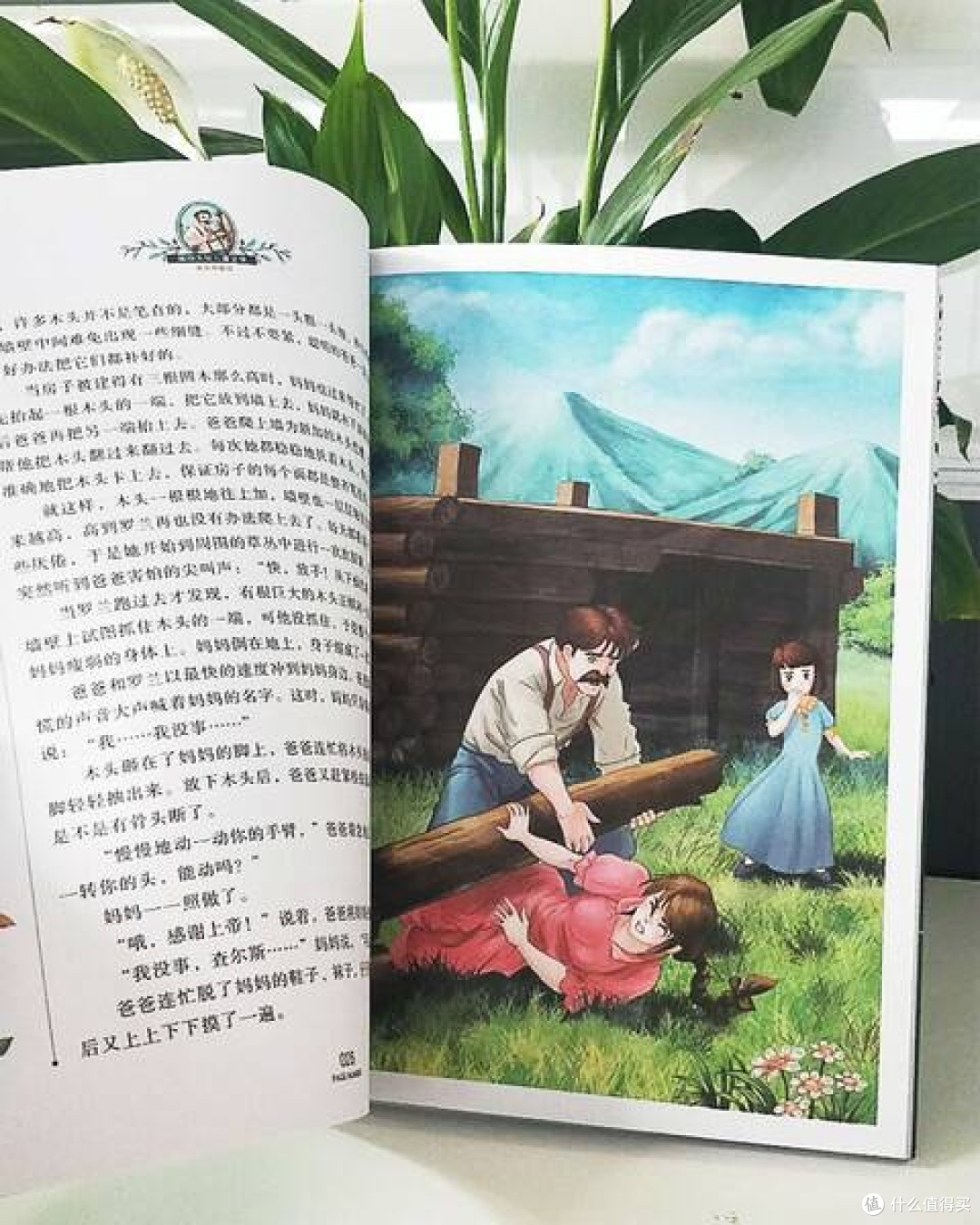 《草原上的小木屋》:暑假里的经典之旅,探索成长的力量