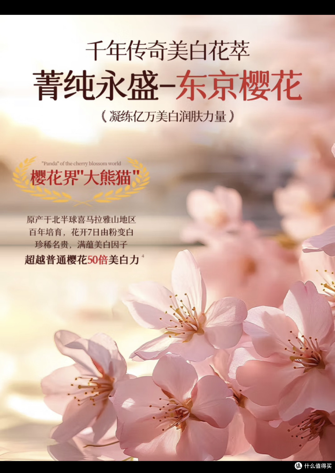 强烈推荐OHBT樱花熊果苷精华水乳液