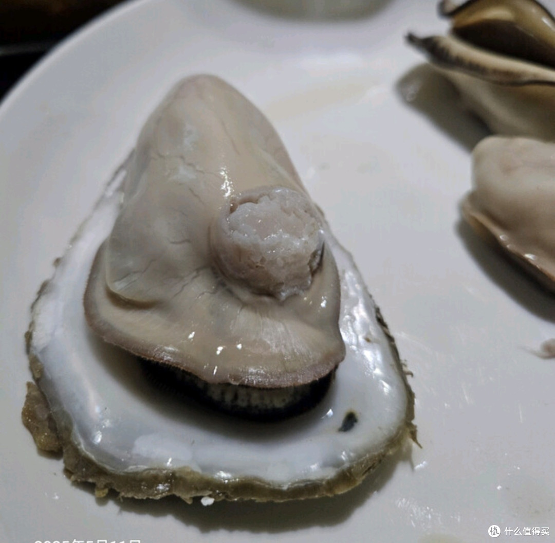 生蚝的鲜美之旅
