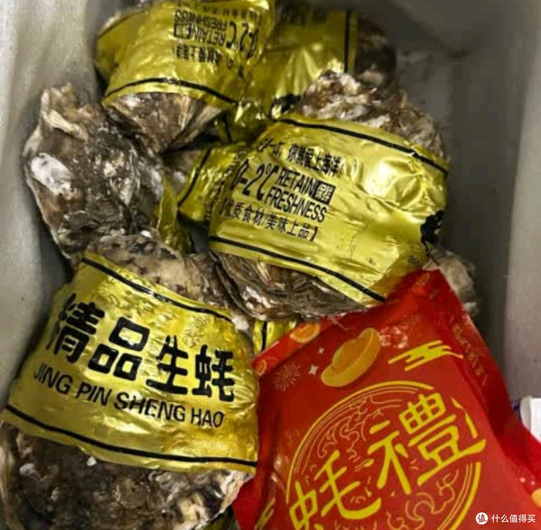 生蚝的鲜美之旅