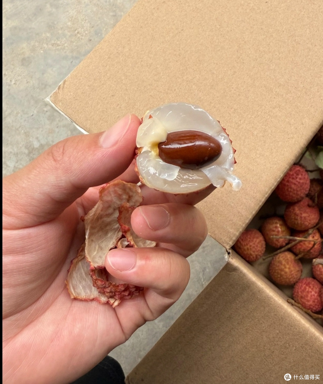 桂味荔枝:一场舌尖上的甜蜜狂欢