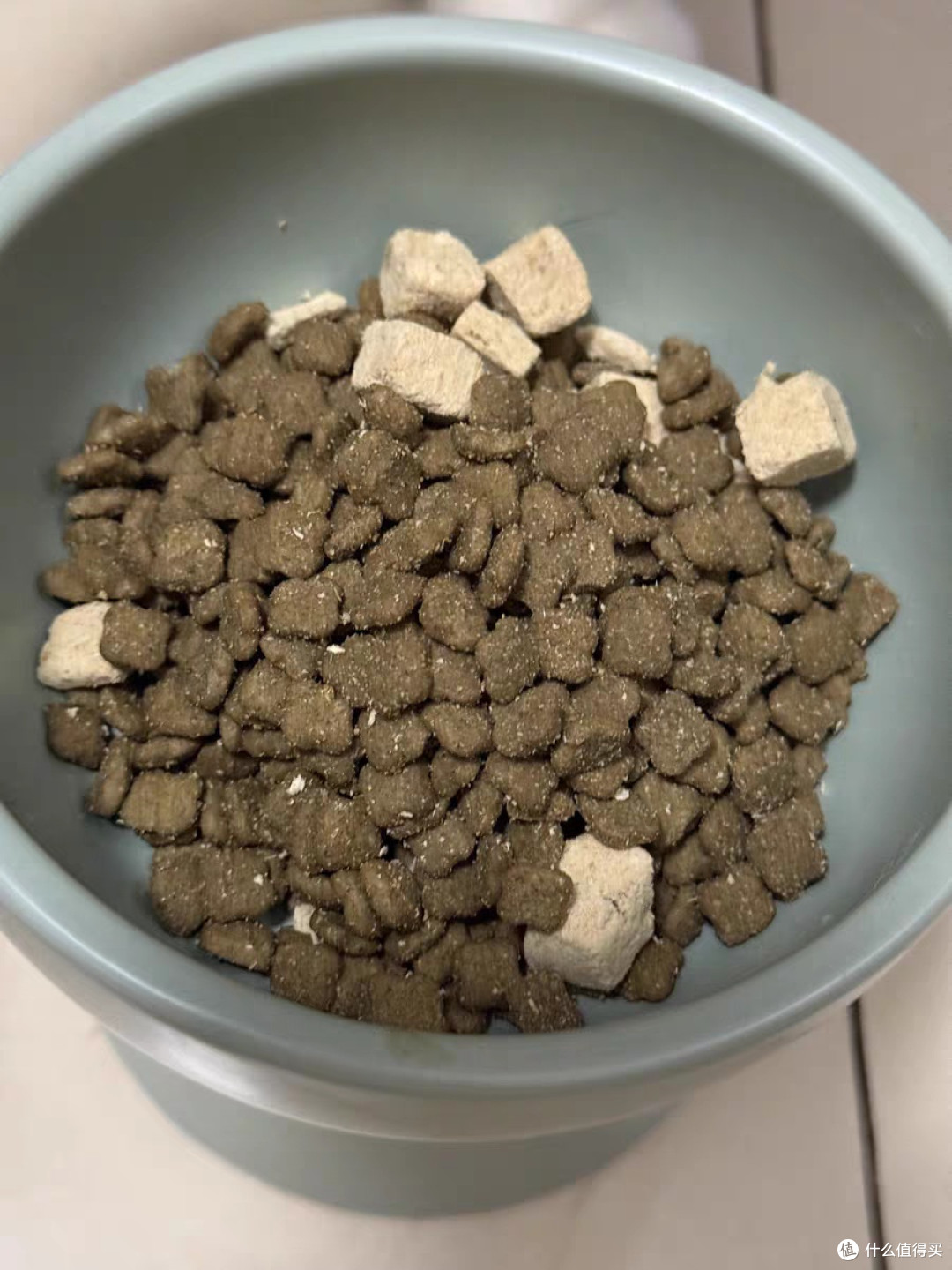 营养又美味的猫粮,让猫咪大快朵颐