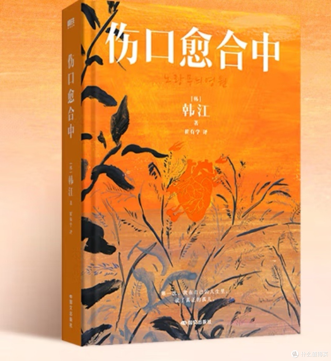 文字的绷带:韩江诺奖作疗愈伤口的深沉力量