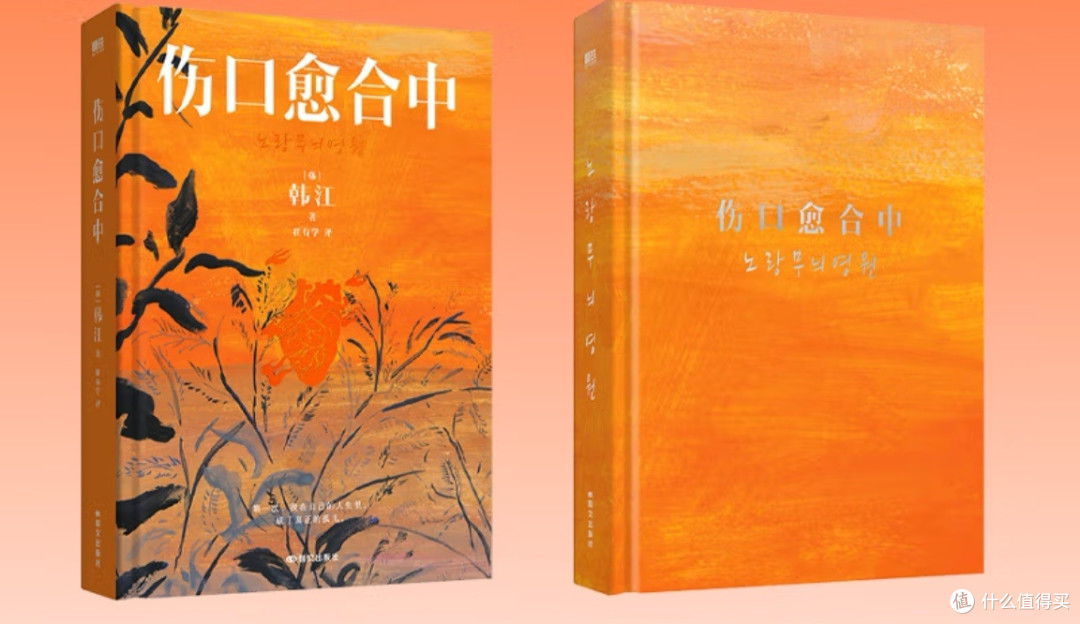 文字的绷带:韩江诺奖作疗愈伤口的深沉力量