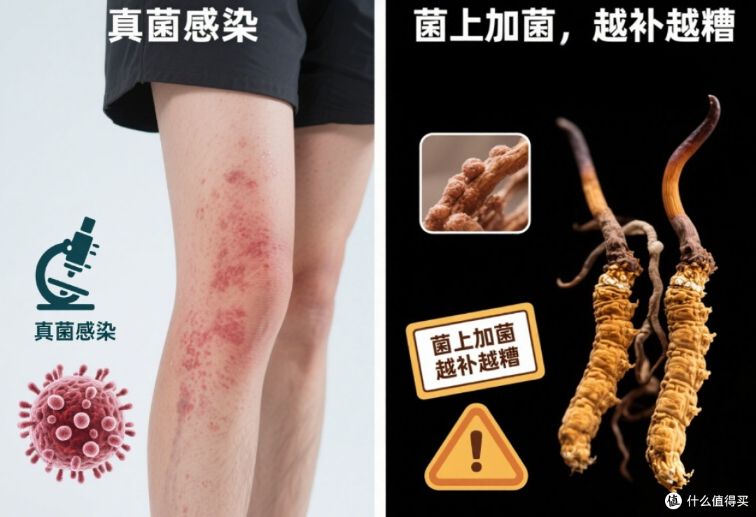 冬虫夏草适合你吗?这5类高危人群要立即停用!速速自查!