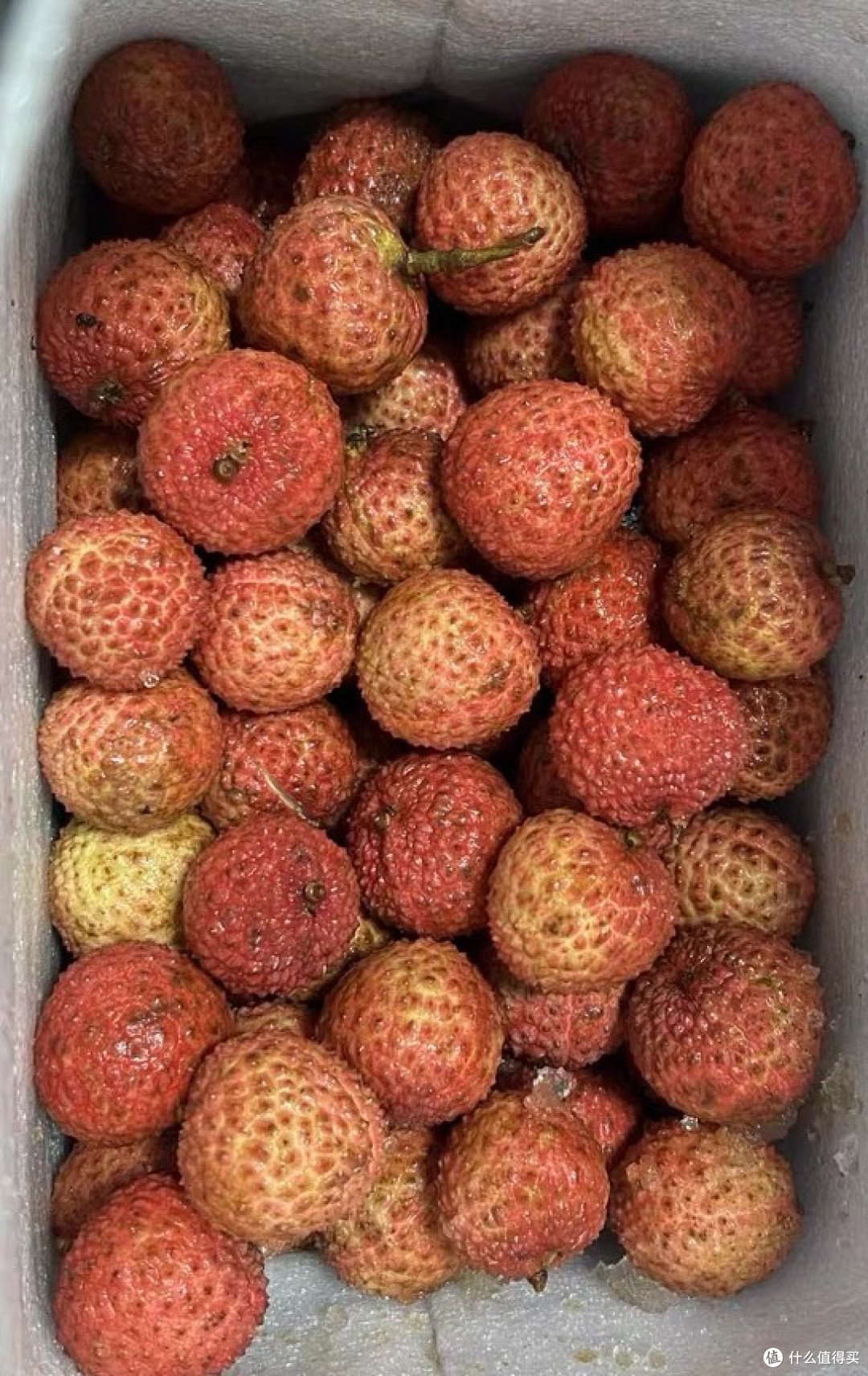 绛纱为肤白玉肉：一颗荔枝的千年滋味  