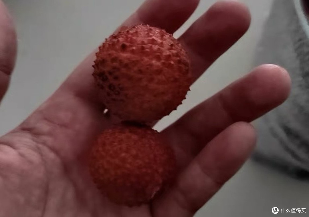 绛纱为肤白玉肉：一颗荔枝的千年滋味  
