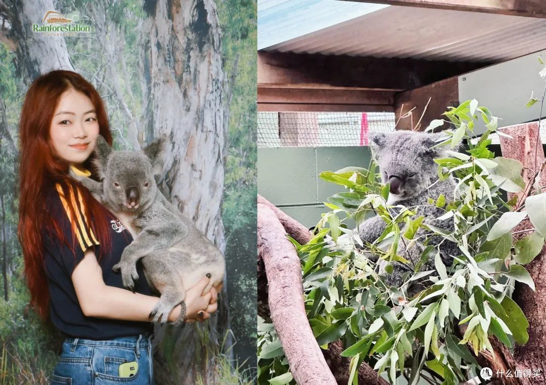 万字长文,超全大攻略!反季避暑淡季错峰,一起上天入海!