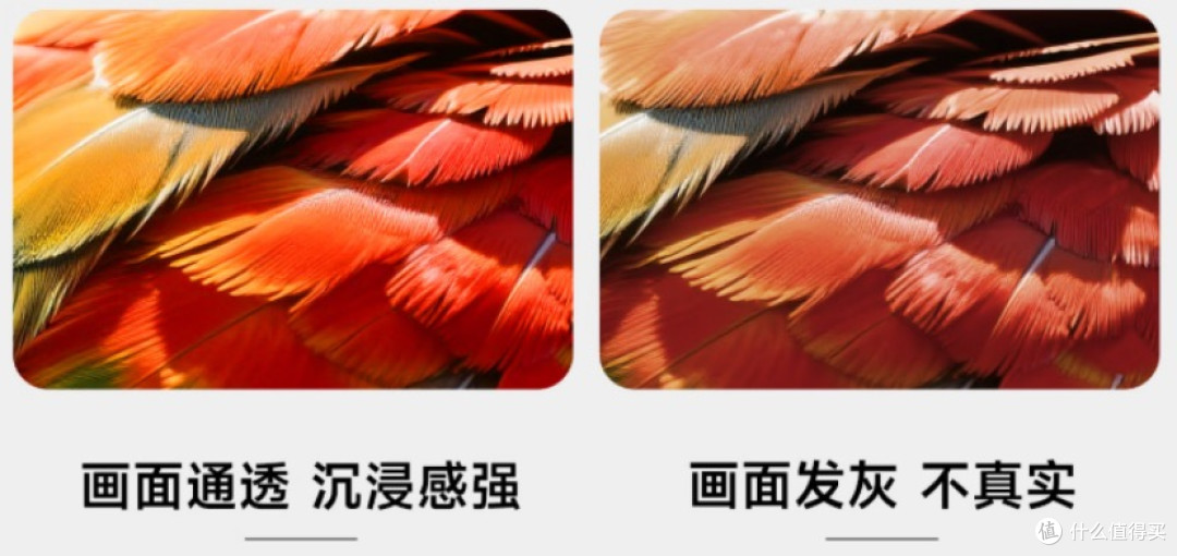 三色激光投影仪的致命缺陷：为什么近视人群看完眼睛酸胀？