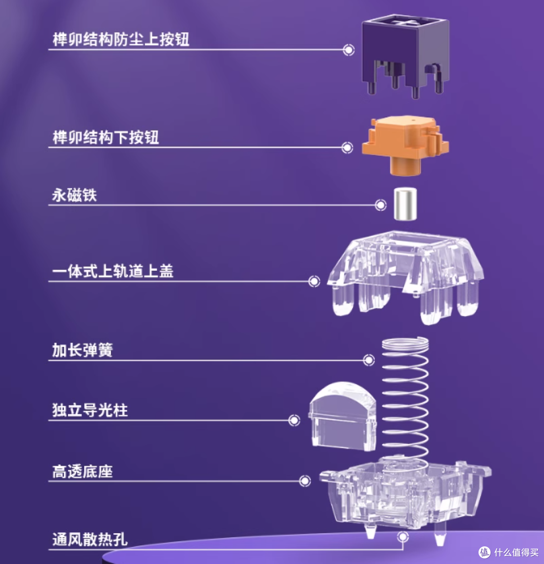 10元/颗的磁轴?好是真好,贵也真贵!——TTC紫心万磁王