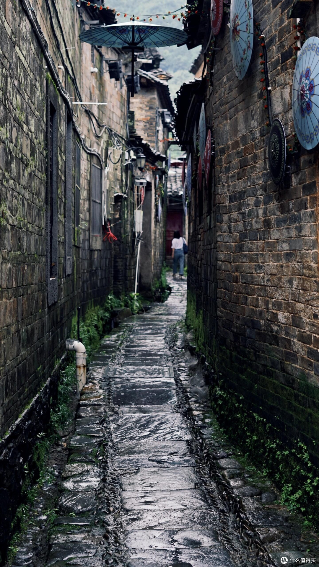 江西毕业旅行:美景与历史的交融