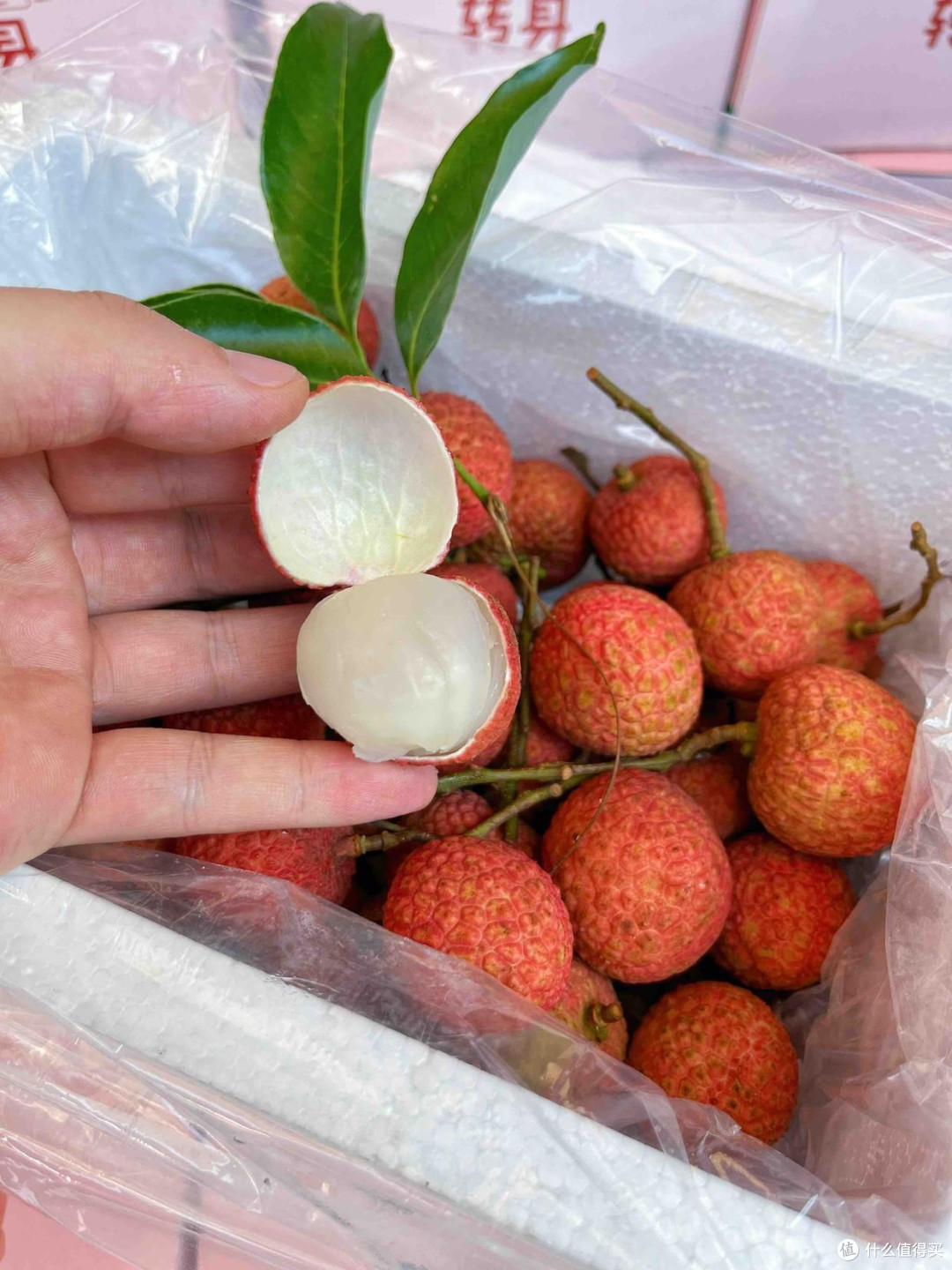 16种常见荔枝品种特点及口感,清甜多汁肉厚核小,你喜欢吃哪种