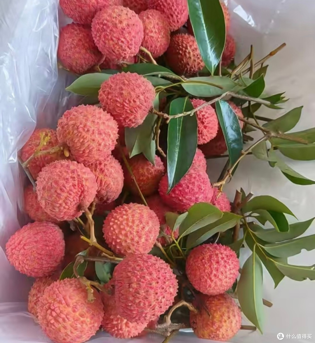 荔枝价格暴跌,荔枝想吃就吃