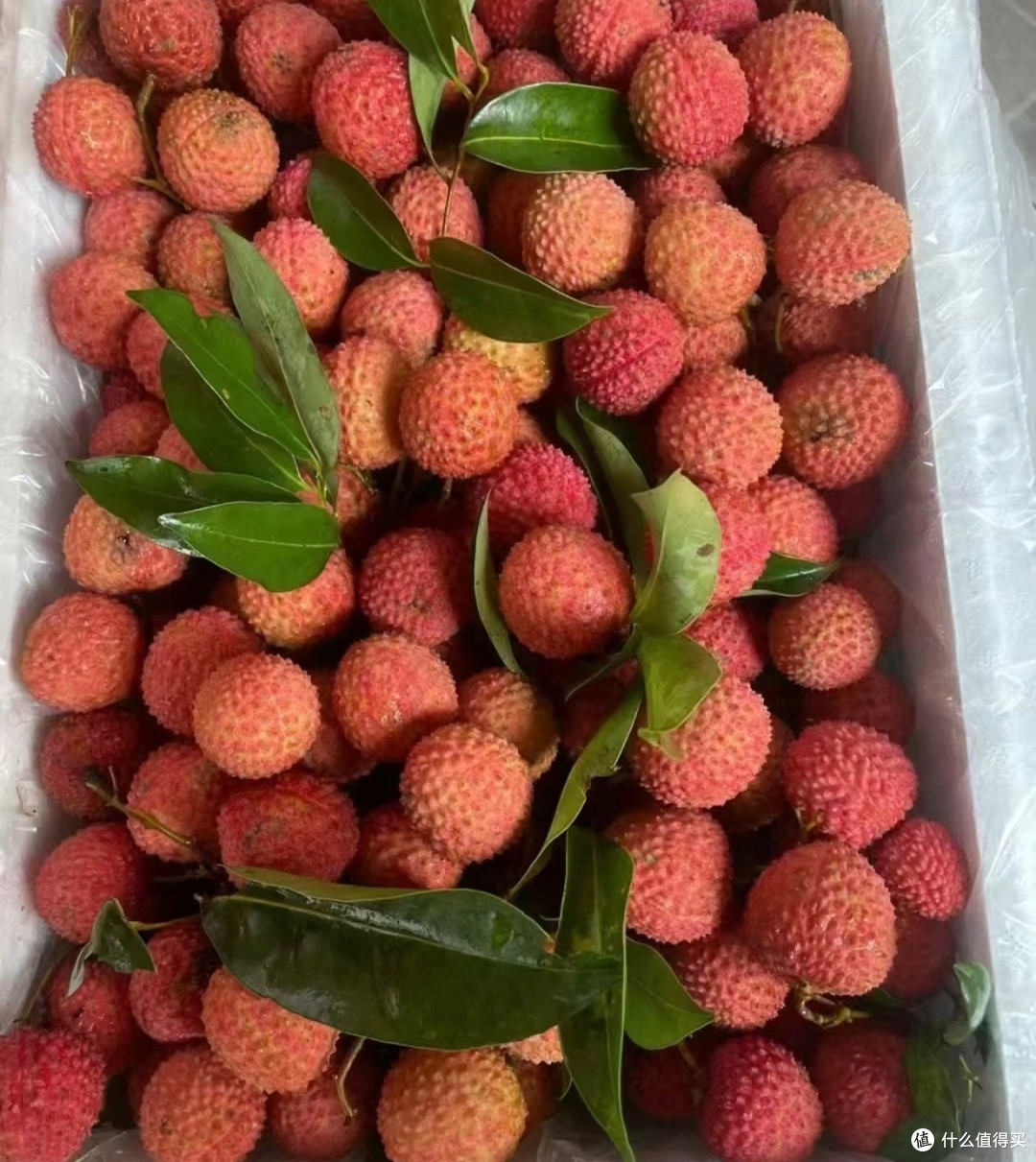 荔枝价格暴跌,荔枝想吃就吃