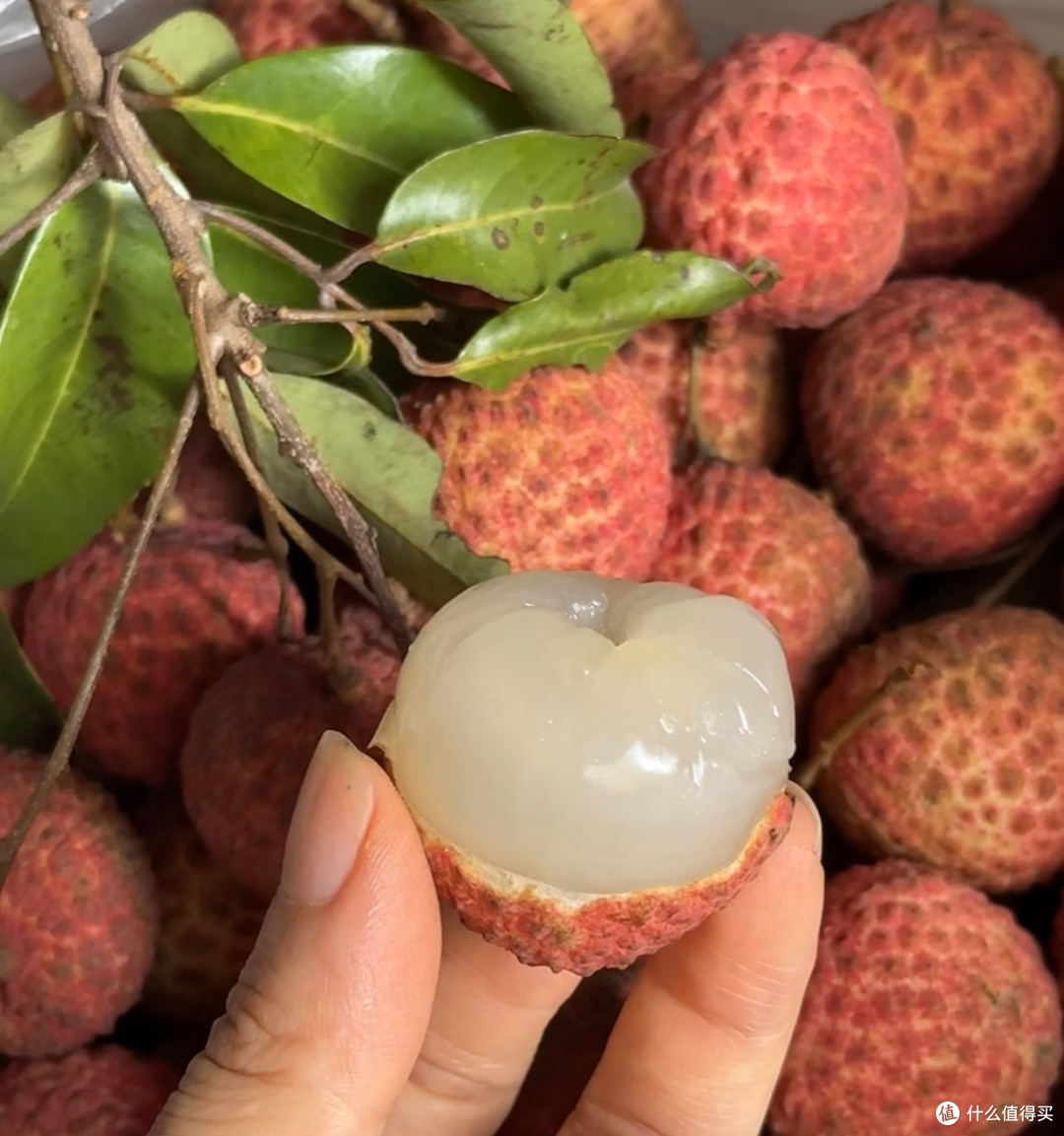 荔枝价格暴跌,荔枝想吃就吃