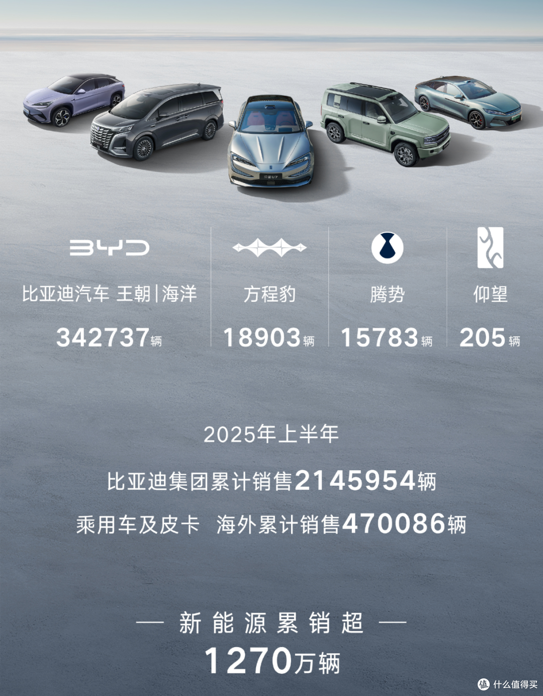 比亚迪交出成绩,2025年上半年,累计销量约214.6万辆