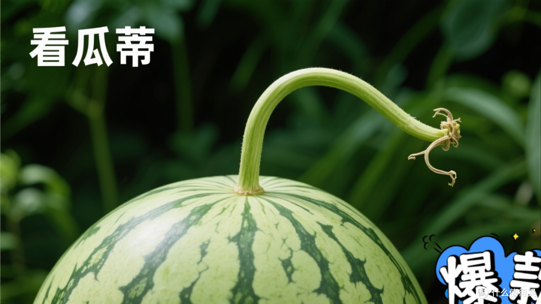 《夏季西瓜挑选攻略》