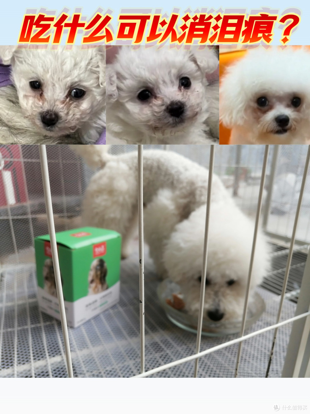小狗吃什么可以没有泪痕?去泪痕狗粮推荐