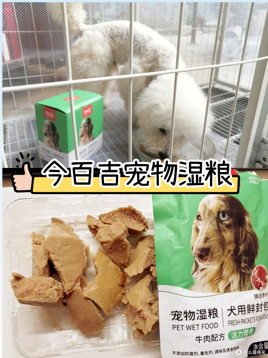 小狗吃什么可以没有泪痕?去泪痕狗粮推荐