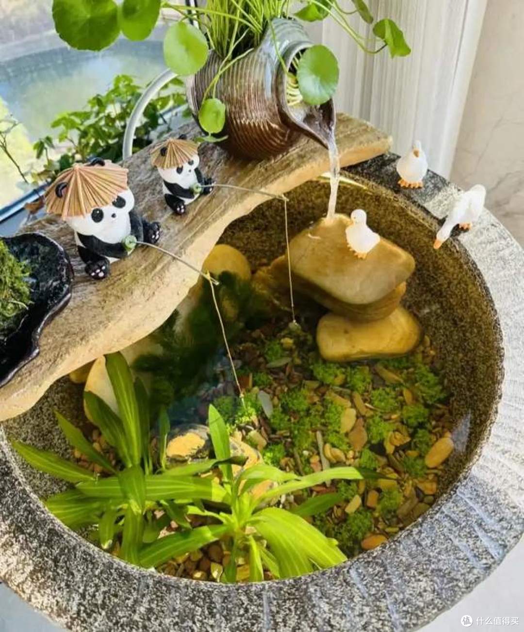浇不死的8种花，还晒不死，就算是新手，也能养得花开富贵
