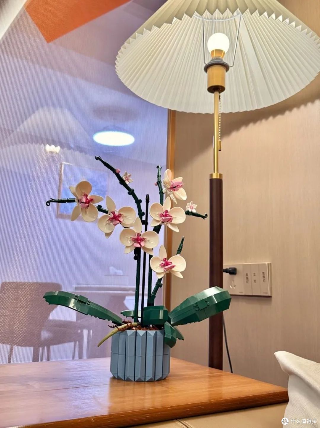 震惊！世界上活得最久的花竟是……