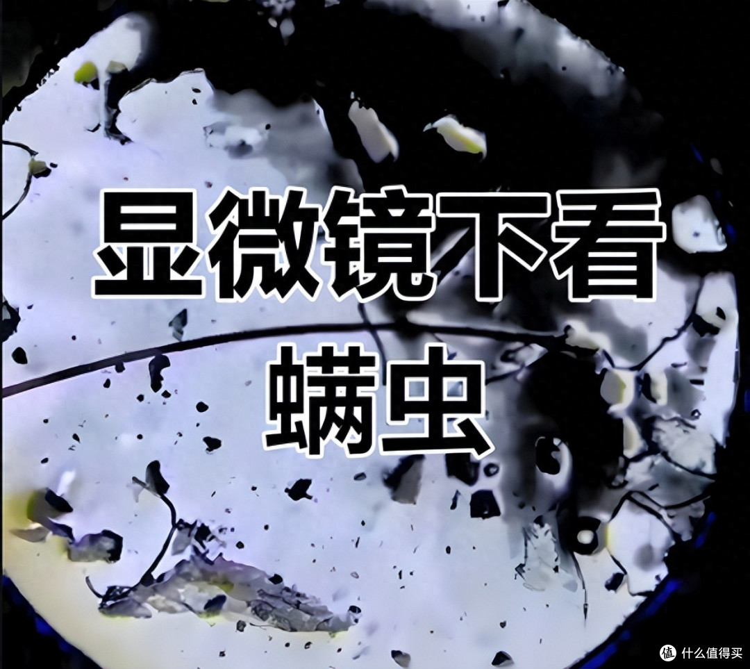 除螨器哪个品牌好?怎么选除螨仪?2025高质量高性价比除螨仪推荐