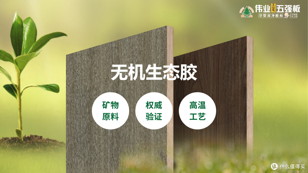 甲醛焦虑退退退！伟业五强板无机生态胶打造0污染新家