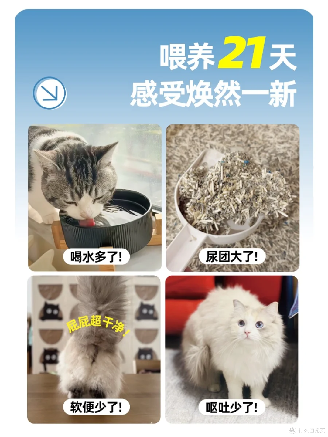 换粮 N 次还拉稀?兽医:选粮要看 “工艺”,不是只看肉多少!