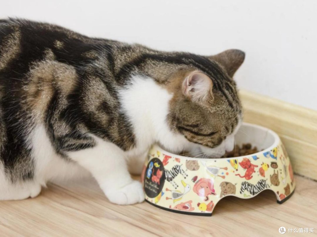 网上买猫粮要怎么选？精选猫粮推荐性价比高排行榜