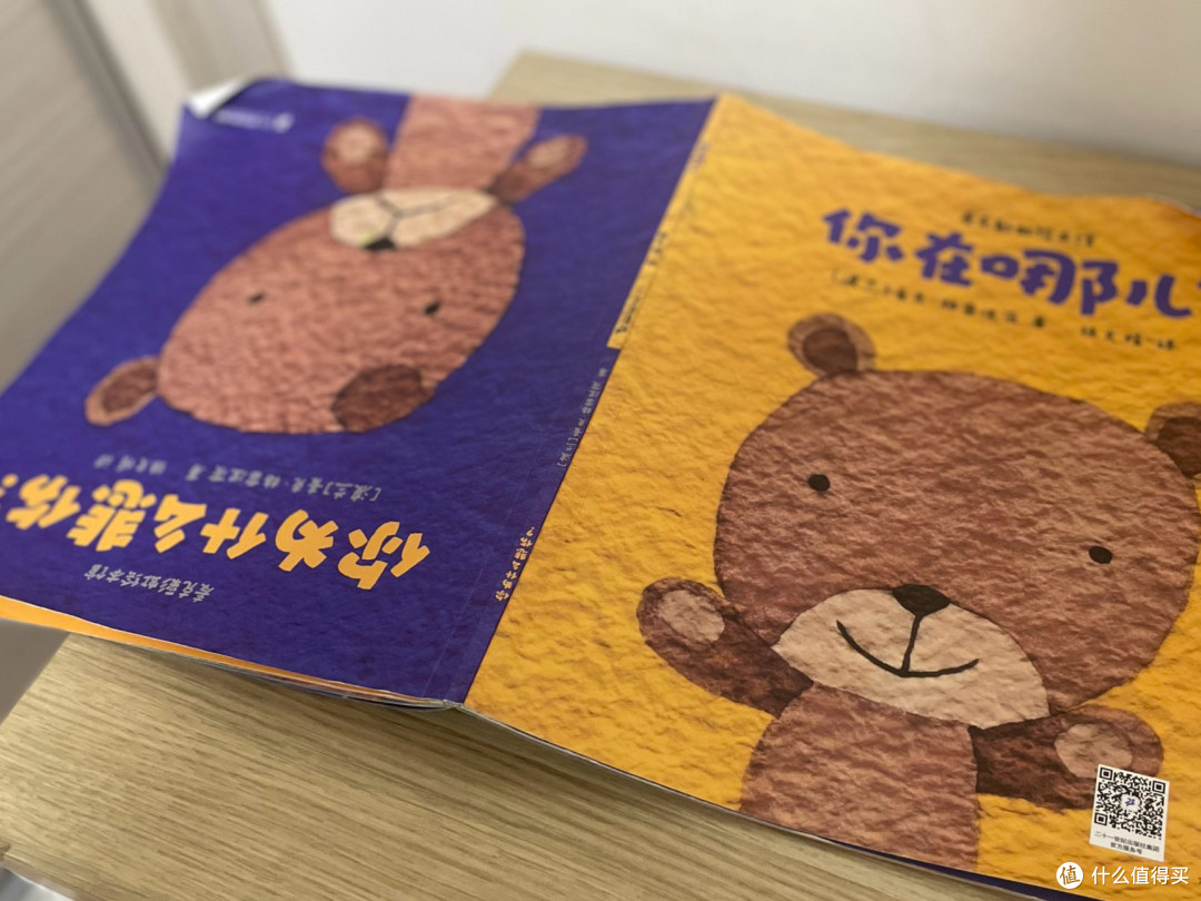 双面故事绘本——《你为什么悲伤》《你在哪儿?》深度共读