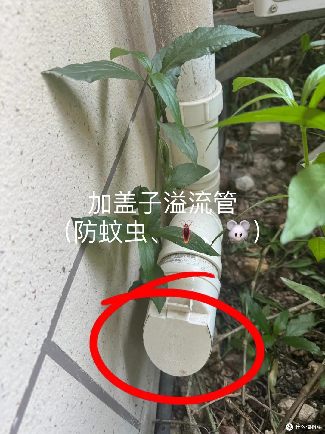 买房牢记两重点,“首层、顶层”随便选,但“这一层”一定要避开