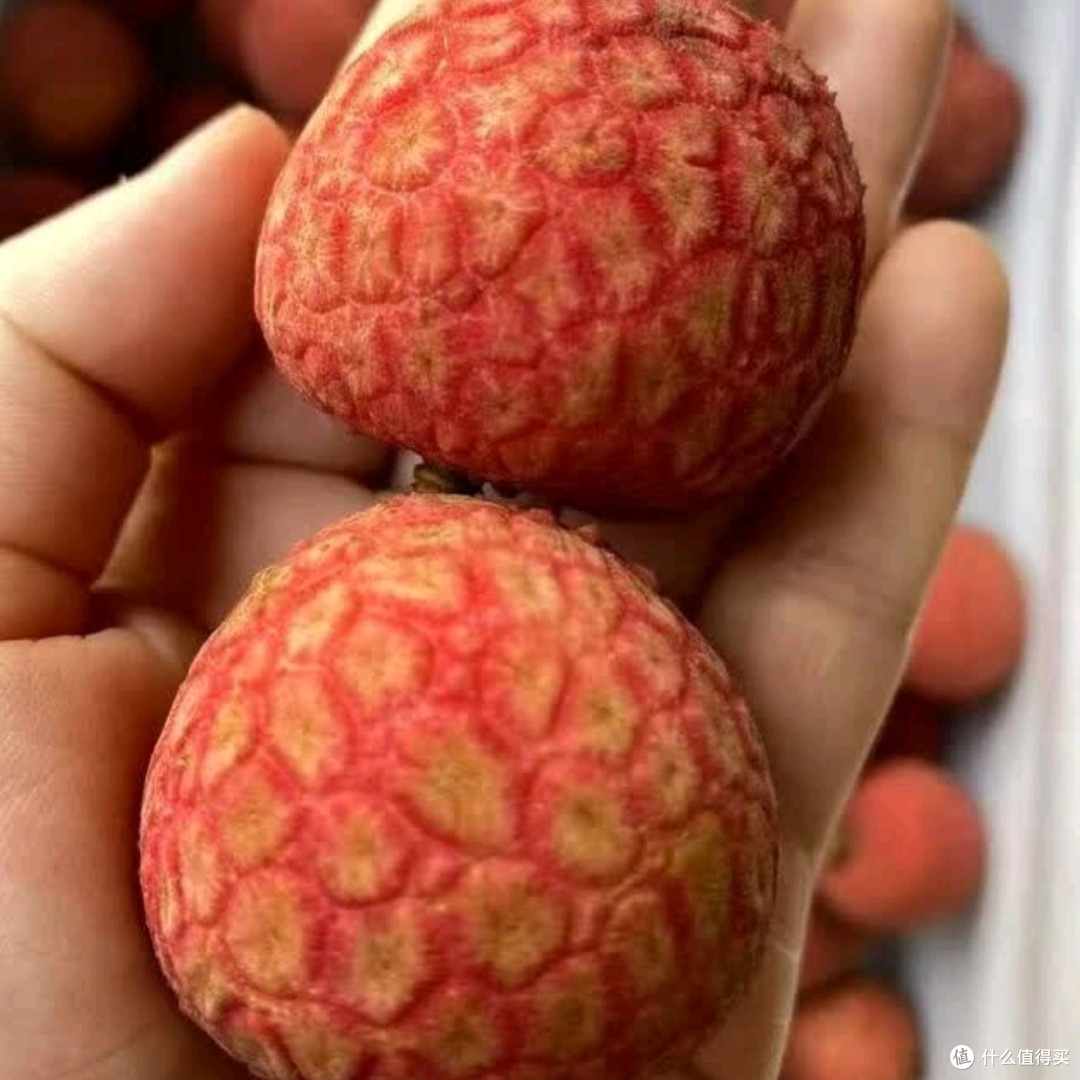 京鲜生广西桂味荔枝测评：源自源头的鲜甜滋味