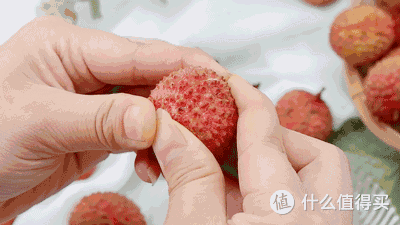 第一次被“荔枝核”惊呆了,扔水里22天,长成“绝美粉盆栽”