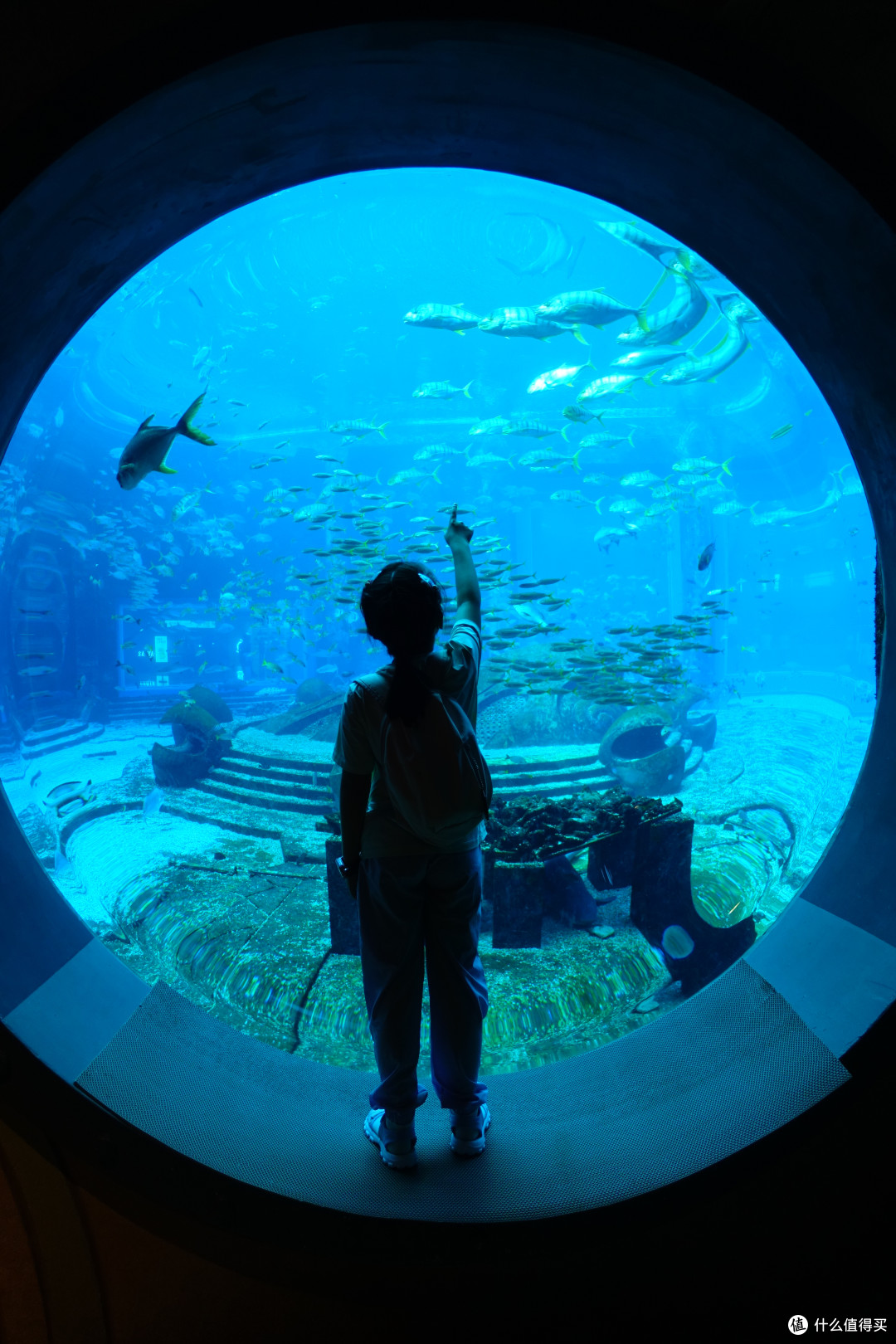 水族馆很暗，适合拍照的地方不多
