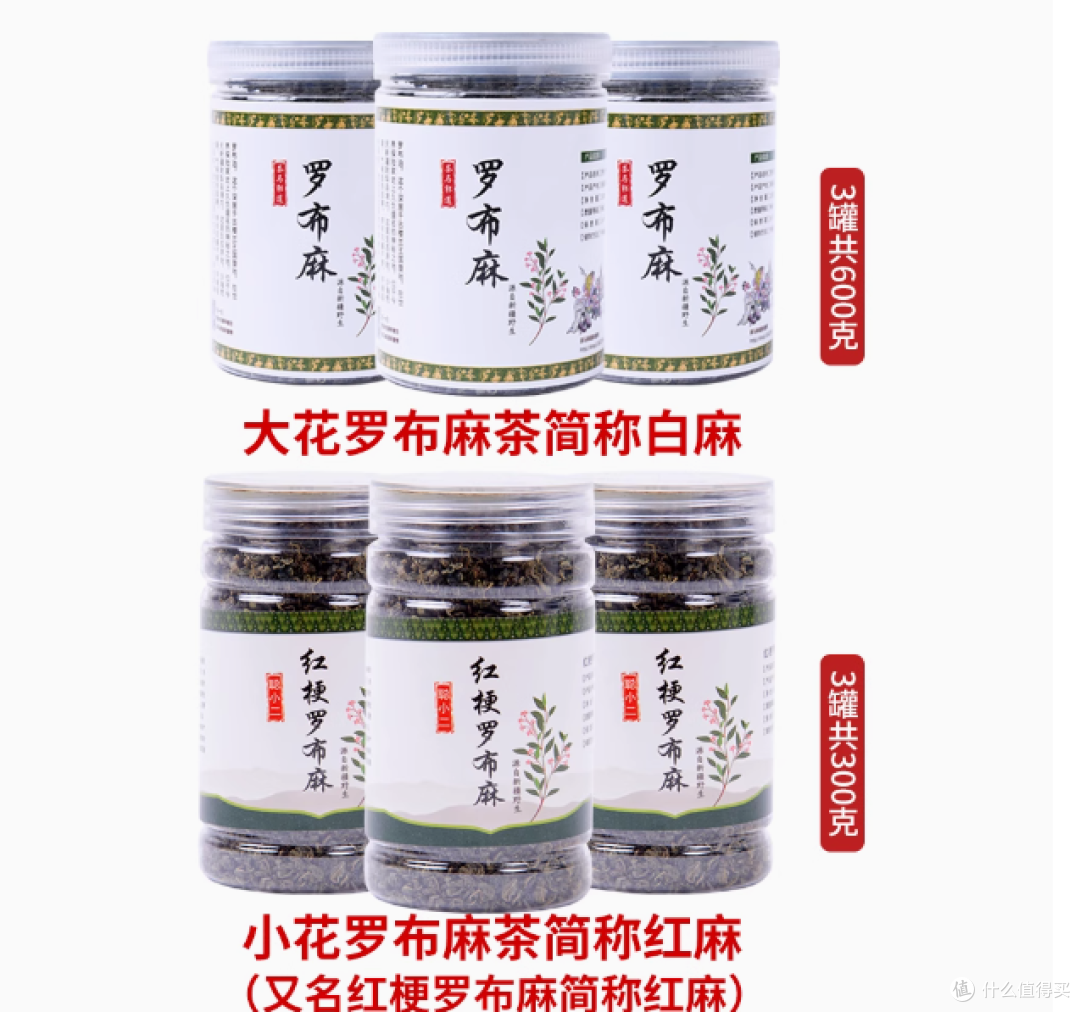 茶马果道新疆情：罗布麻茶，来自新疆的养生瑰宝