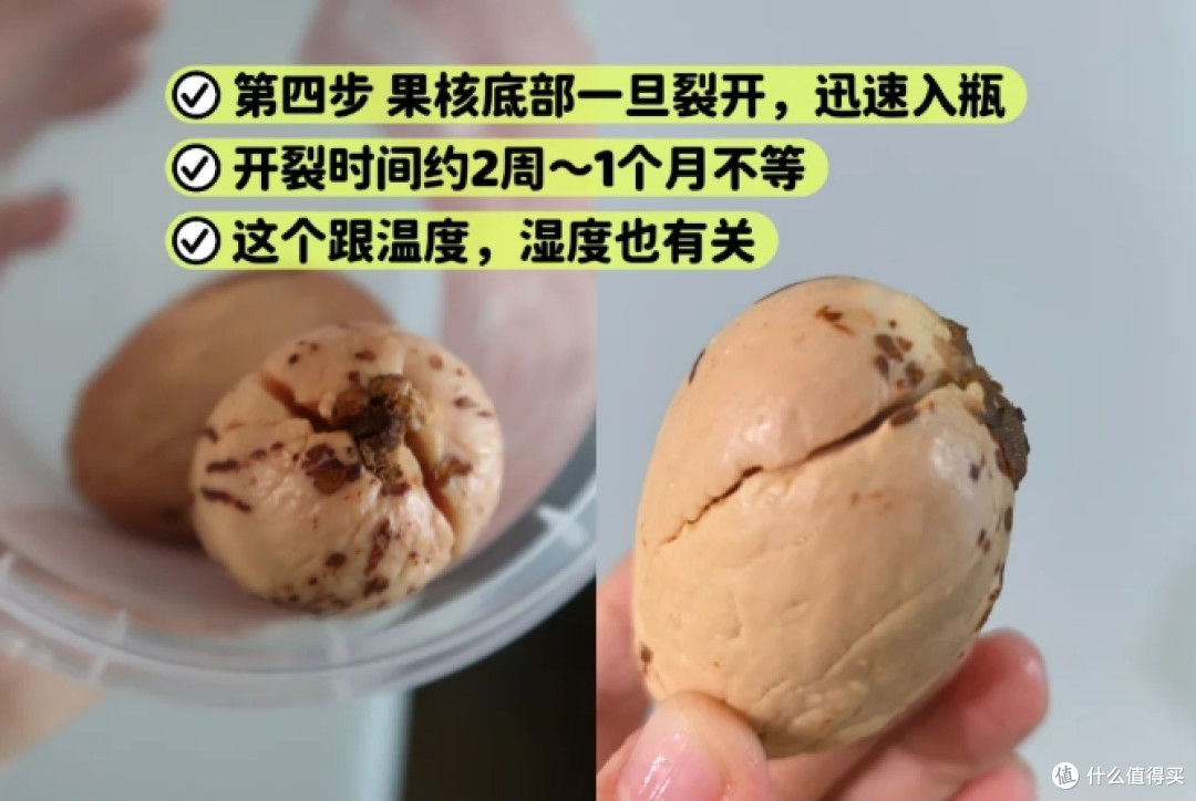 第一次感受到“水果核”的杀伤力,曾经瞧不上,现在:我都养起来