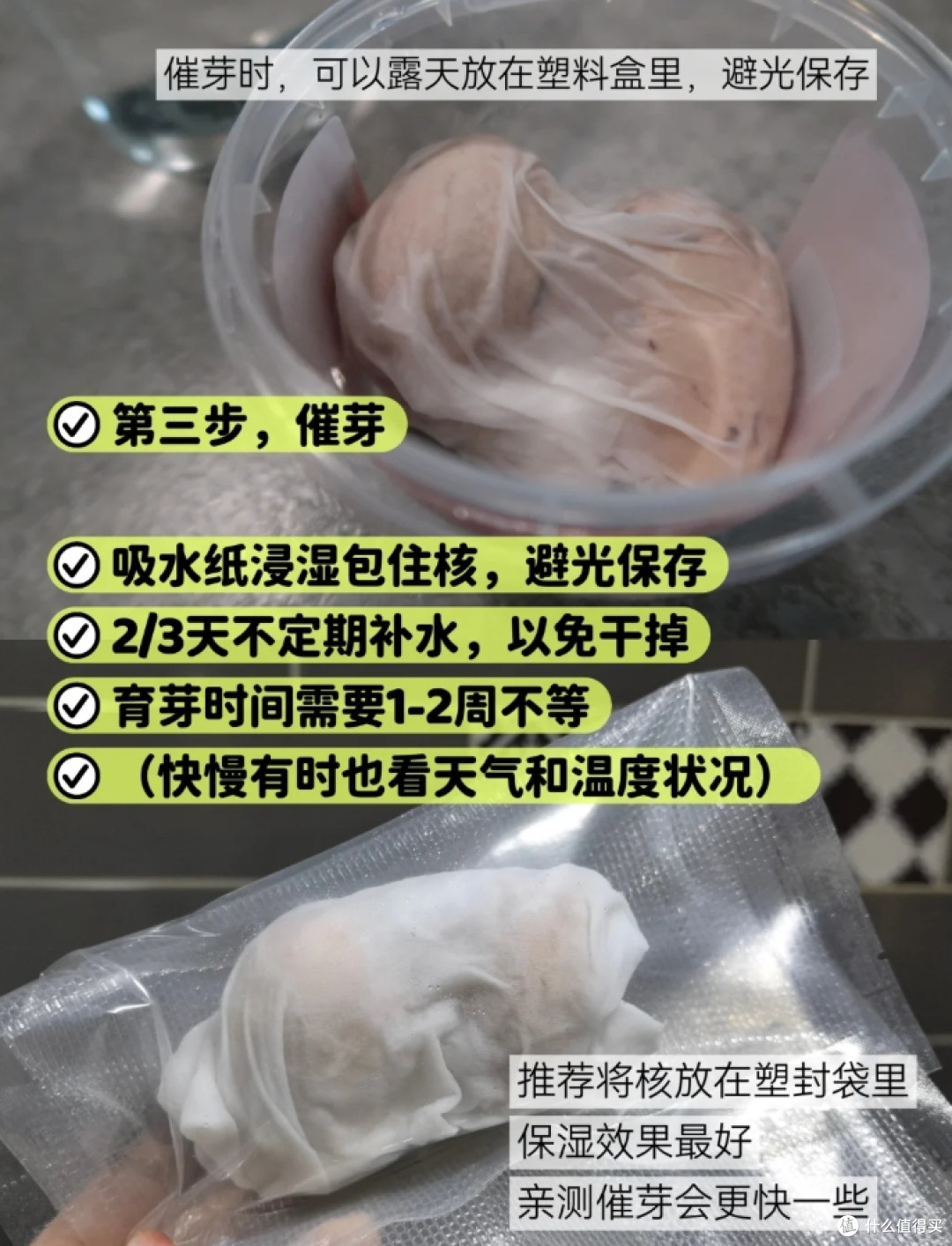 第一次感受到“水果核”的杀伤力,曾经瞧不上,现在:我都养起来