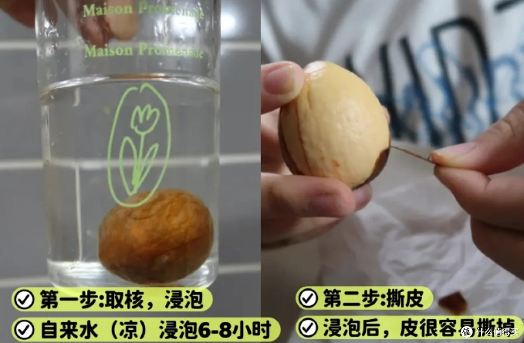 第一次感受到“水果核”的杀伤力,曾经瞧不上,现在:我都养起来