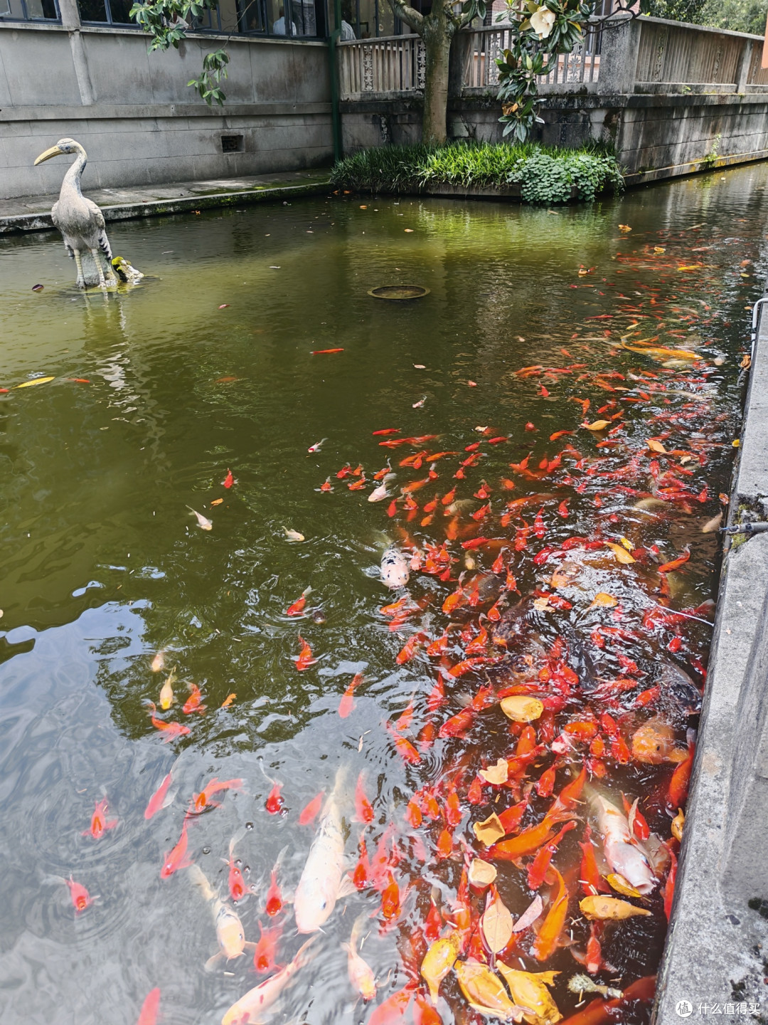 如诗如画的山水画卷:湖南韶山滴水洞