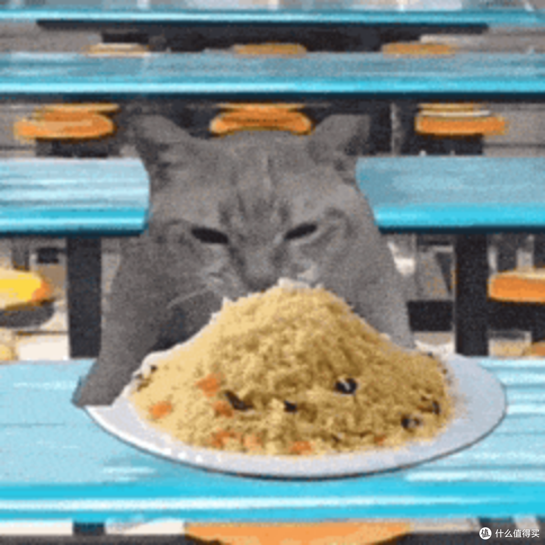 全价猫粮哪个牌子好?实测分享希喂、有鱼、豆柴猫粮优劣!