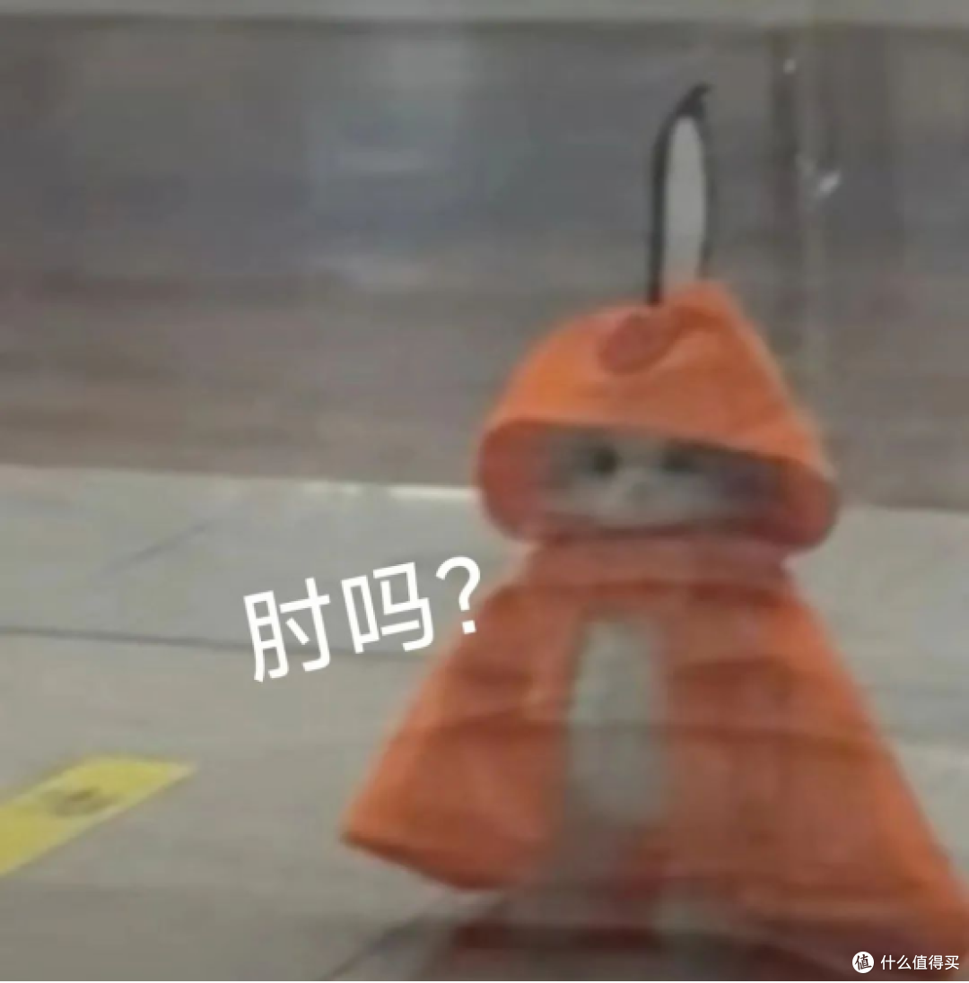 有没有不油的猫粮?希喂、格吾安、醇粹猫粮大比拼