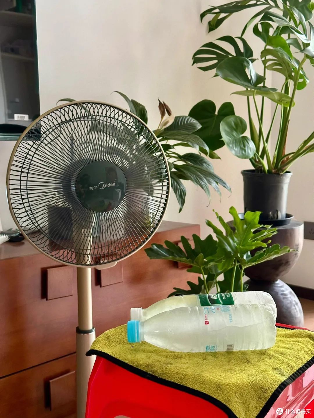 被年轻人的夏日“降温大法”惊到了！换个思路后，我一点都不热
